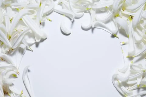 An empty space bounded by white petals Stockfoto's