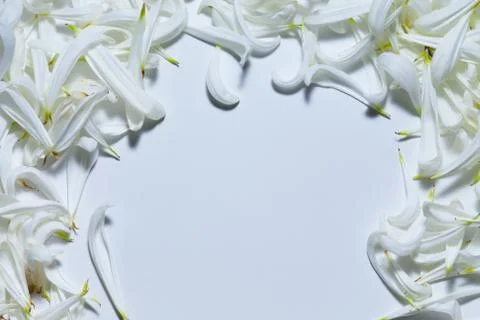 An empty space bounded by white petals Stockfoto's