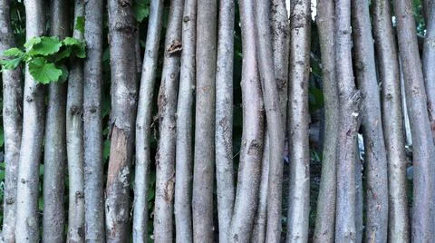 Empty space design in natural rustic style Stock Photos