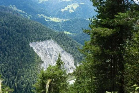 Empty space in forest Stock Photos