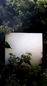 Empty space on the image is surrounded by leaves or flowers. Stock Photos