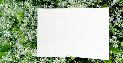 Empty space on the image is surrounded by leaves or flowers. Stock Photos