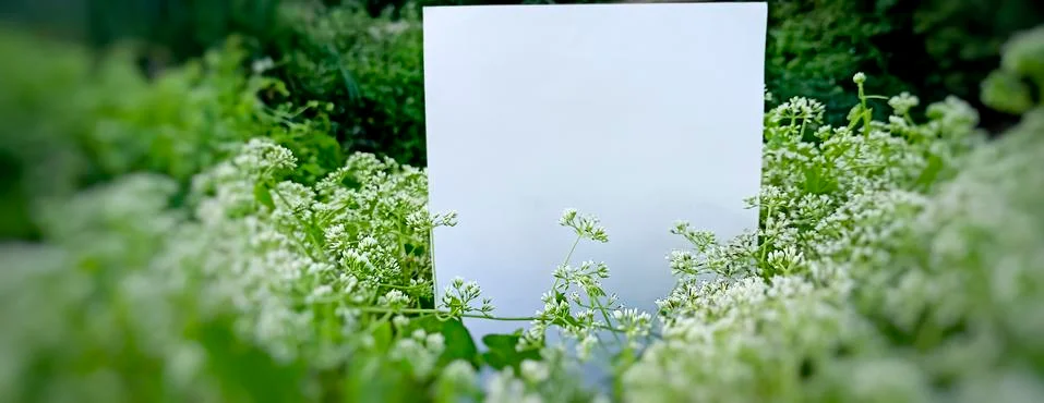Empty space on the image is surrounded by leaves or flowers. Foto stock