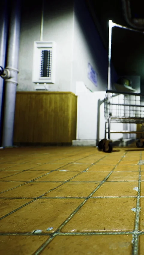 Empty space with a shopping cart in an indoor area at night Stock Footage 334171854