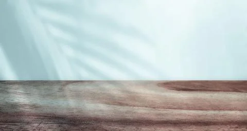 Empty space with tropical leaf shadow Stock Photos