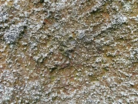 Empty space wall surface texture. Фото