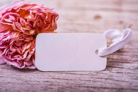 Empty space on white blank tags on rustic wooden table with flower. Happy bir Stock-Fotos