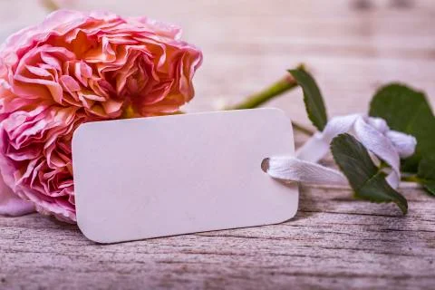 Empty space on white blank tags on rustic wooden table with flower. Happy bir Stock Photos