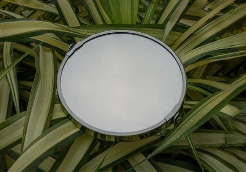 Empty space for your design and text on Silver round mirror surrounded by g.. Foto stock