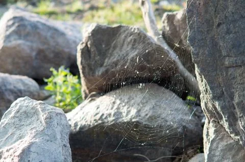 Empty spider web between two rocks Stock Photos