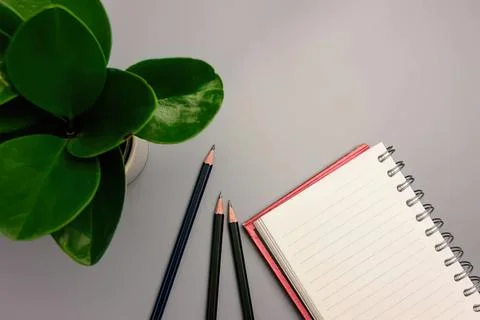 Empty spiral notebook with three pencils next to green plant Stock Photos
