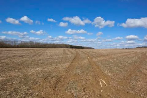 Empty springtime field Stock Photos