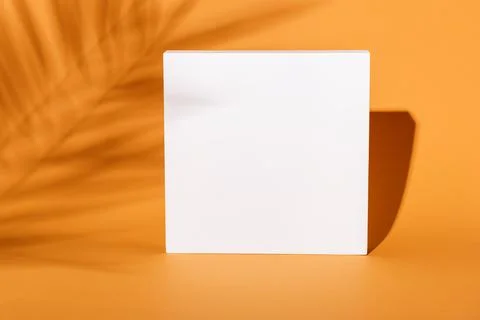 Empty square composition with tropical palm tree shadow background. Orange .. Stock Photos