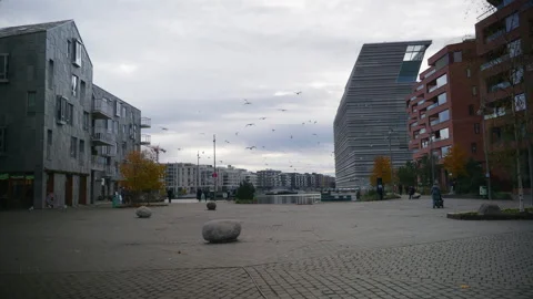 An empty square in downtown Oslo with seagulls flying over it Stock Footage 320701417