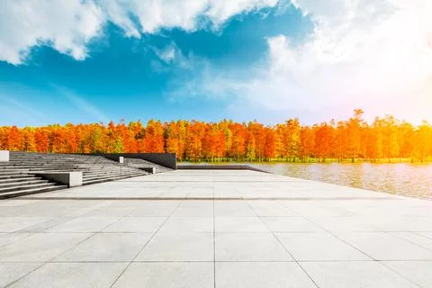 Empty square floor and colorful forest natural landscape in autumn season. Stock Photos