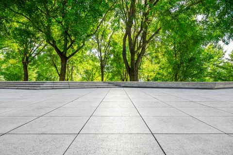 Empty square floor and green forest in city. Stock Photos