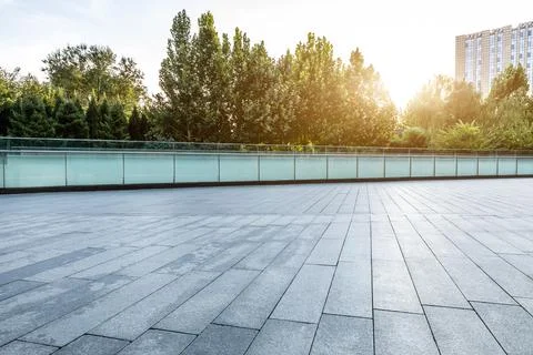 Empty square floor and green forest background. Stock Photos