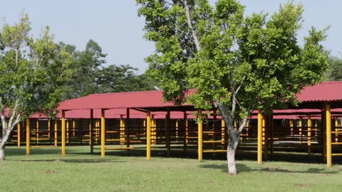 Empty stables in countryside landscape between trees and blue sky 動画素材 187909263