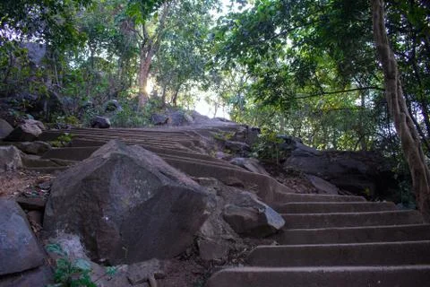 Empty stairs moving up to a hill between a forest Stock Photos