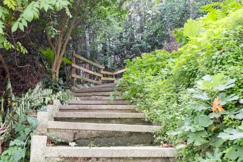Empty Stairway Foto stock