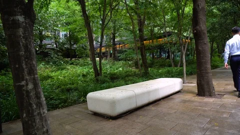 Empty Stone Bench and Lots of Green Space Stock Footage 104410667