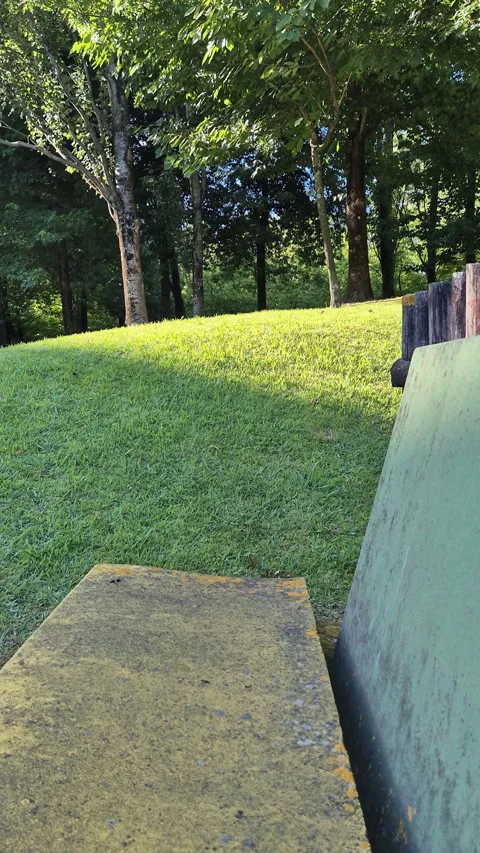 Empty stone bench beside lush grass and tall trees in a calm green park Stock Footage 337896779