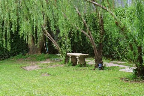 Empty stone bench in the public park among green foliage 스톡 사진
