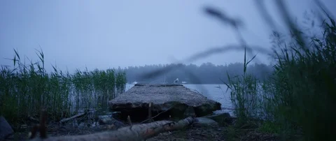 Empty stone pier on lake during foggy day Stock Footage 85848615