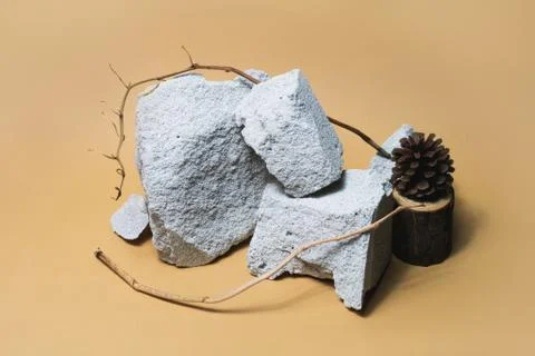 Empty stone podium composition on beige background. Forest monochrome concept Stock Photos