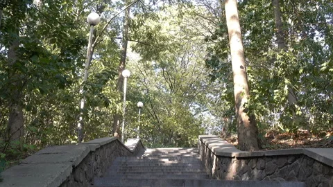 Empty stone staircase among green trees Stock Footage 148346502