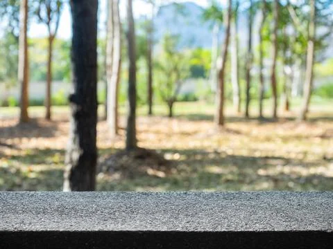 Empty stone table with blurred green forest background, perfect for product.. Stock Photos