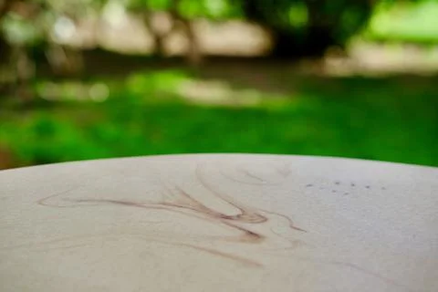 Empty stone table with free space over green background. For product display Photos