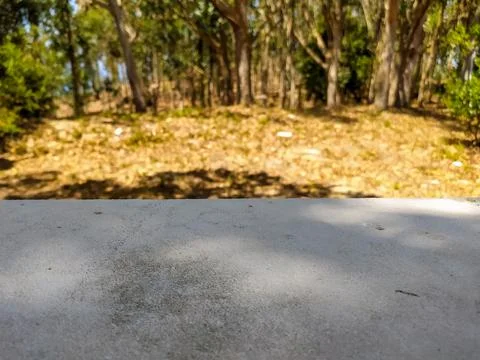 An empty stone table top surface in focus with a blurred sunny forest backgro Stock Photos