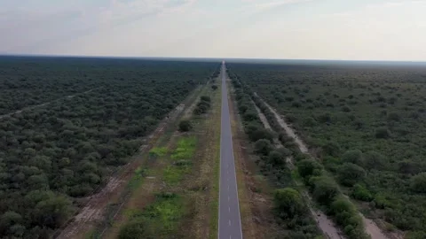 Empty straight highway, with no curves Stock Footage 264095314