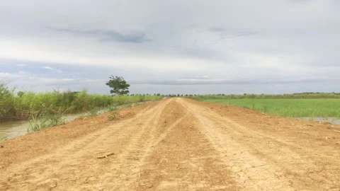 Empty Straight Red Dirt Road Through Green Rice Fields, Rural Asian Countrys Stock Footage 345893078