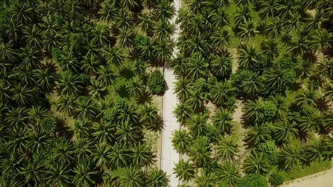 Empty straight road through countryside Stock Footage 77794087