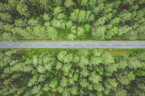 Empty straight road through the forest top down aerial view toned image Stock Photos