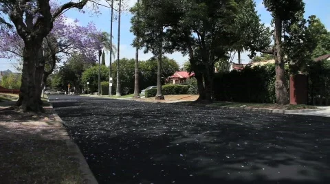 Empty Street 2 Video stock 738423