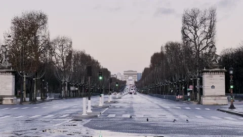 Empty street, Champs Elysees in Paris. Street lights going from green to red. Stock Footage 231132443