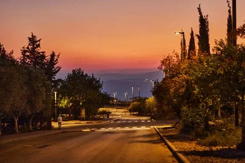 Empty street lined with trees and streetlights during a colorful mountain sun Stock Photos