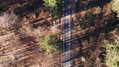 An empty street in the middle of a winter forest filmed sidewards Stockbeeldmateriaal 149151589