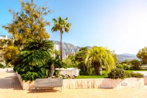Empty street of monaco Stock Photos