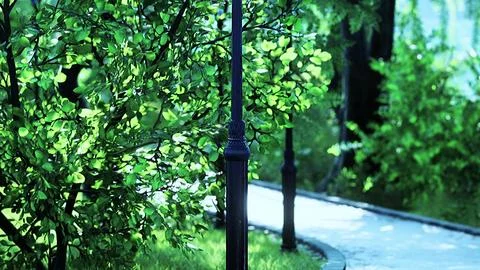 Empty street at the nice and comfortable great garden Stock Illustration
