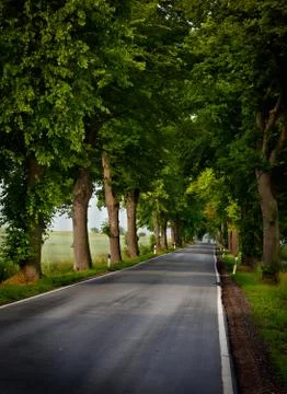 Empty street Stock Photos