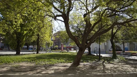 Empty streets Deak Ferenc square, because of the coronavirus, covid19. Stock Footage 129192021