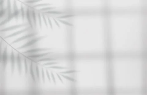Empty studio abstract background Stock Illustration