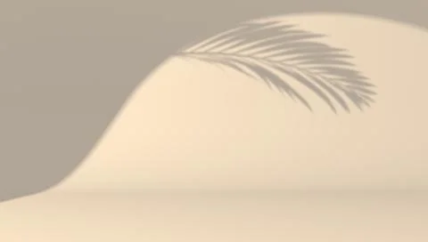 Empty studio with spot of light and shadow of palm leaf. Background for product Stock Illustration