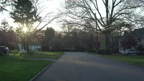 Empty Suburban Street Spring Sunset Squirrel Crosses Road Stock Footage 148163313