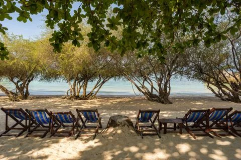 Empty sun-chairs in the shadow of trees on seclude tropical sandy beach Stock Photos