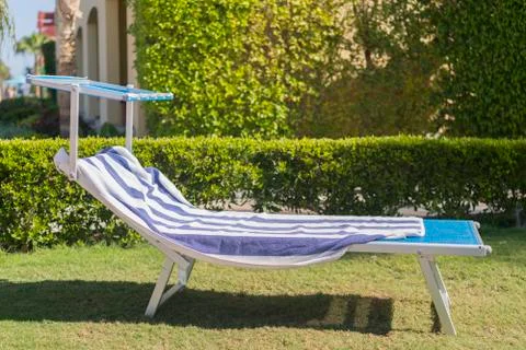 Empty sunbed in the park. Stock Photos